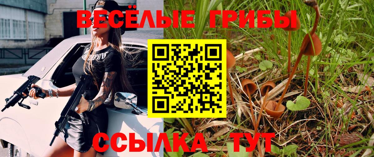 Галлюциногенные грибы прущие грибы  Апатиты 