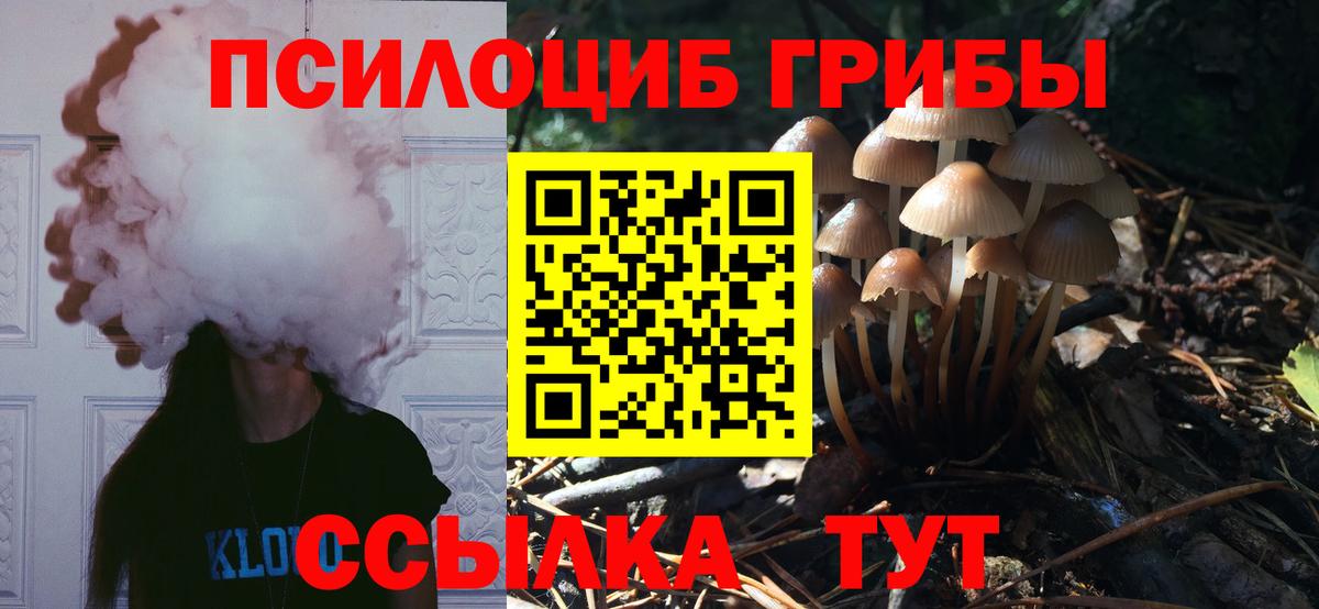 Codein  Апатиты  MDMA  МЕФ кристаллы  COCAIN  Гашиш  АМФЕТАМИН   ГАШ  МЕТАМФЕТАМИН 