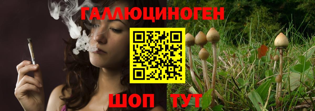 Псилоцибиновые грибы Magic Shrooms Апатиты