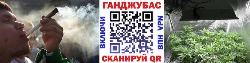 как найти закладки  Апатиты  Конопля семена 