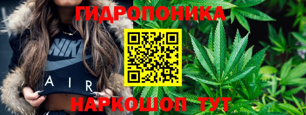 Каннабис White Widow  Шишки марихуана LSD WEED  Канабис тримм  Конопля Ganja  Апатиты  Вход с VPN 